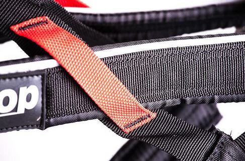 Non Stop Dogwear Freemotion Harness colour strap